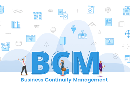 Workflow BCM mit PANFLOW
